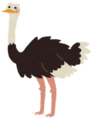 12.png