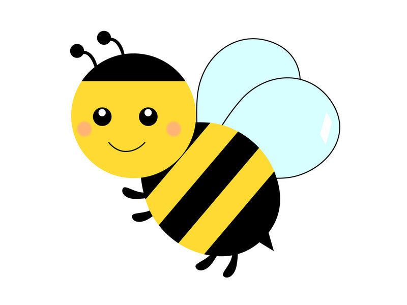 2626968.jpg