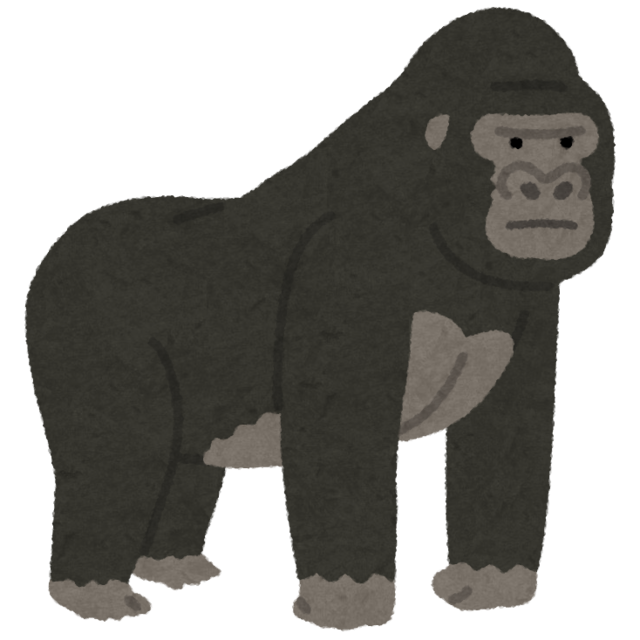 animal_gorilla.png