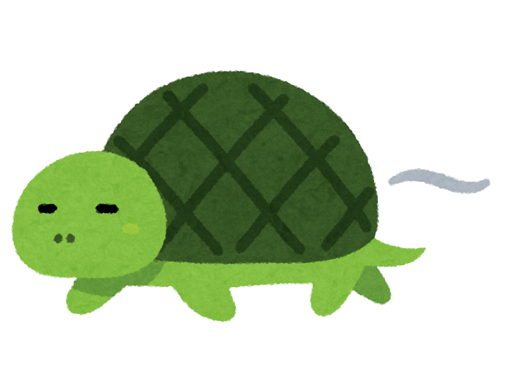 speed_slow_turtle (1).png