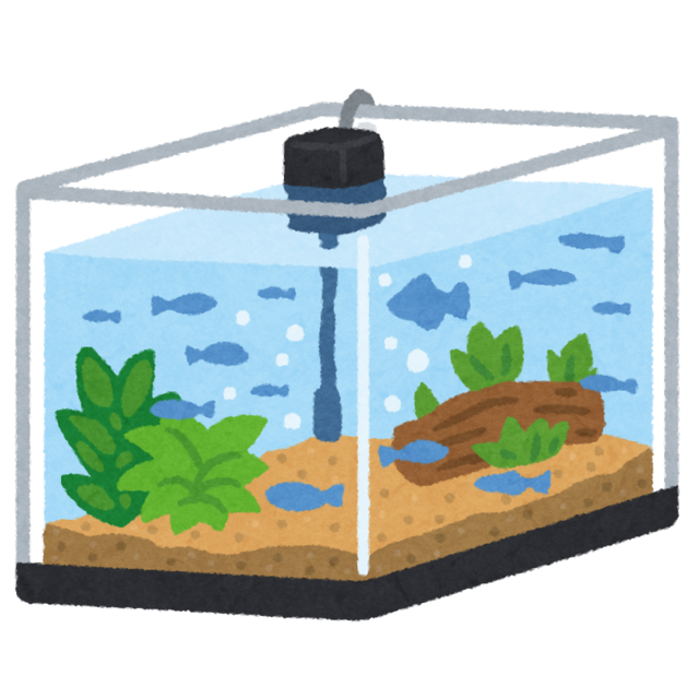 suisou_fish.png